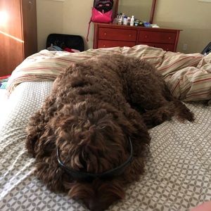 Meet your Posher, Erica